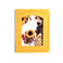 Photo Card - Sweeter Than Honey